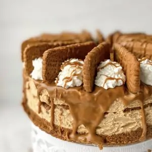 side view of Biscoff cheesecake showcasing the crust and filling