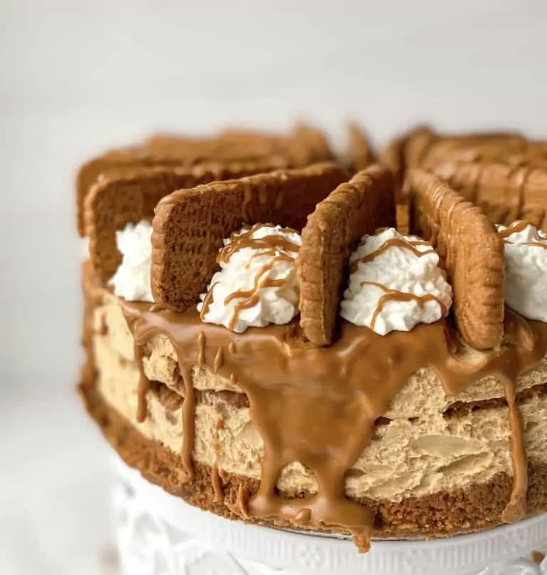 side view of Biscoff cheesecake showcasing the crust and filling